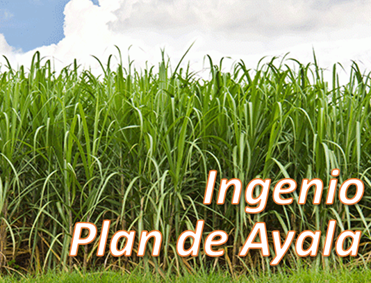 Plan de Ayala